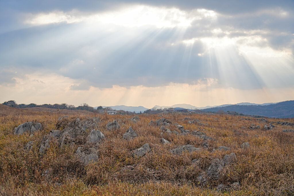 秋吉台カルスト_山口県