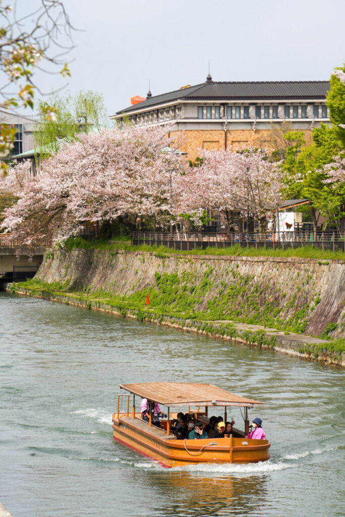 岡崎さくら回廊十石めぐり（岡崎十石舟） 京都府