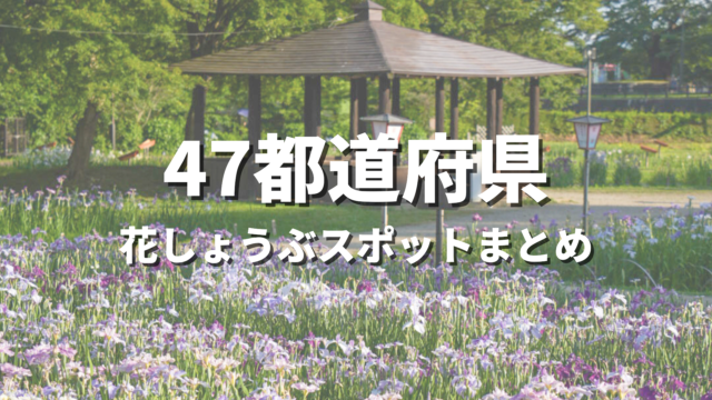 【全国】あやめ・花菖蒲（花しょうぶ）・かきつばたの絶景スポットおすすめ33選！映える人気観光名所と開花・見頃時期・お出かけ情報まとめ