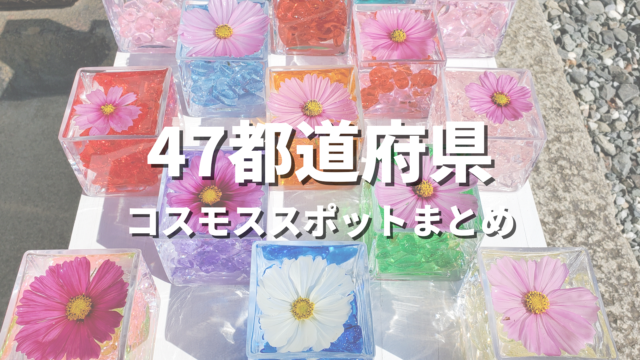 【全国】コスモスの絶景スポットおすすめランキング30選！映える人気観光名所と見頃時期・お出かけ情報まとめ