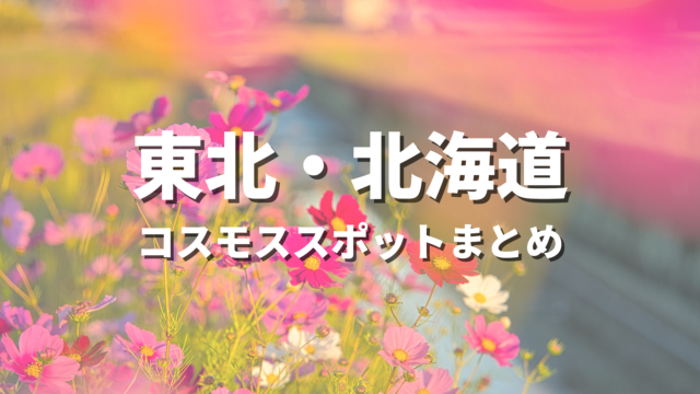 【東北・北海道】コスモスの絶景スポット決定版！おすすめ観光名所と見頃時期・情報まとめ