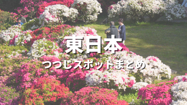 【東日本】つつじの絶景スポット決定版！おすすめ観光名所と見頃時期・情報まとめ