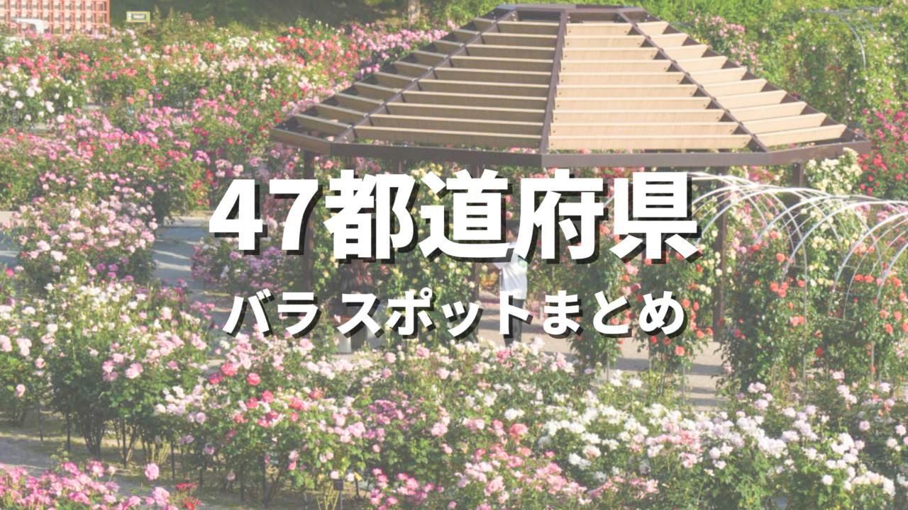【全国】バラの絶景スポットおすすめ34選！初夏・秋に映える人気観光名所と開花・見頃時期・お出かけ情報まとめ