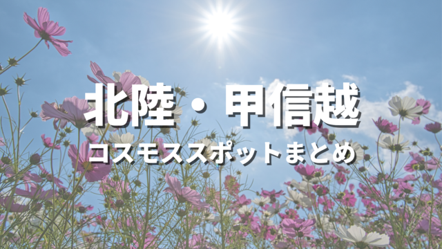 【北陸・甲信越】コスモスの絶景スポット決定版！おすすめ観光名所と見頃時期・情報まとめ