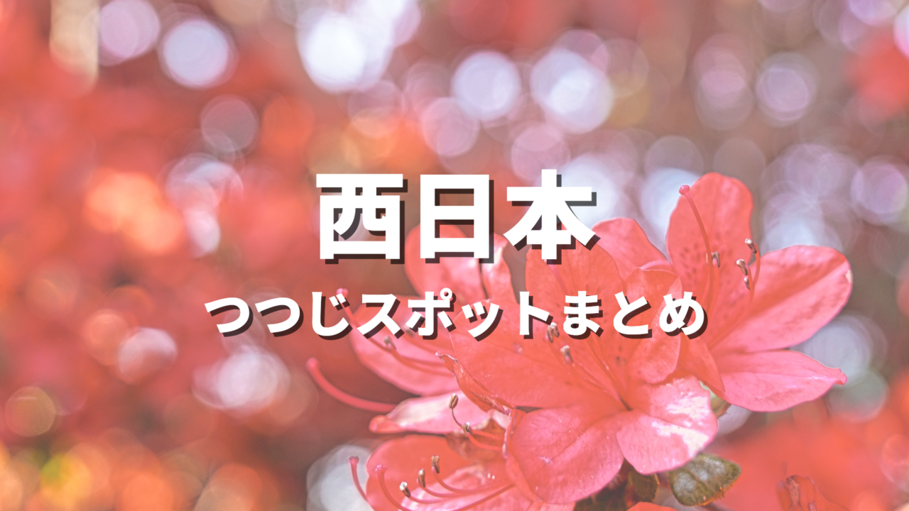 【西日本】つつじの絶景スポット決定版！おすすめ観光名所と見頃時期・情報まとめ