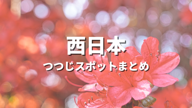 【西日本】つつじの絶景スポット決定版！おすすめ観光名所と見頃時期・情報まとめ