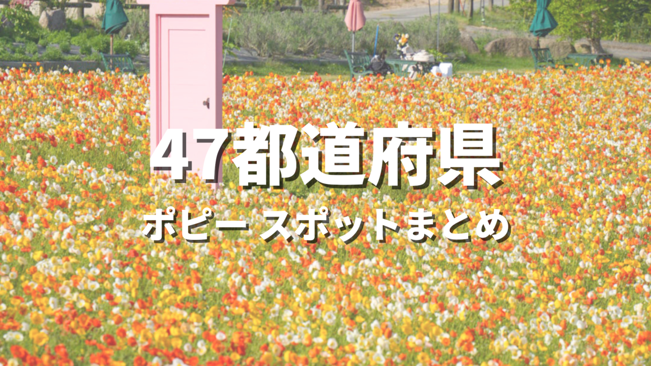 【全国】ポピーの絶景スポットおすすめ29選！春に映える人気観光名所と開花・見頃時期・お出かけ情報まとめ