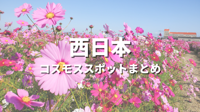 【西日本】コスモスの絶景スポットおすすめランキング20選！映える人気観光名所と見頃時期・お出かけ情報まとめ