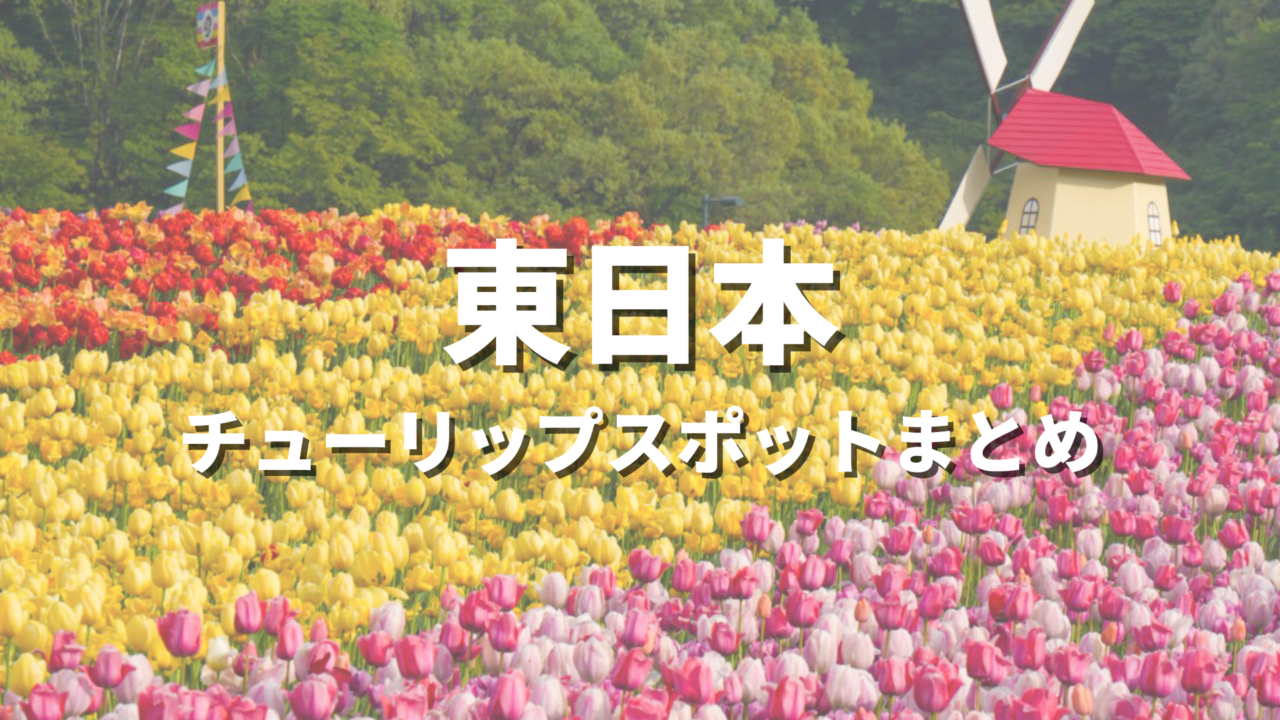 【東日本】チューリップの絶景スポット決定版！おすすめ観光名所と見頃時期・情報まとめ
