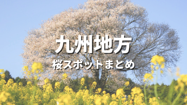 【九州】桜の絶景スポット決定版！春に映えるおすすめ人気観光名所と開花・見頃時期・お花見情報まとめ