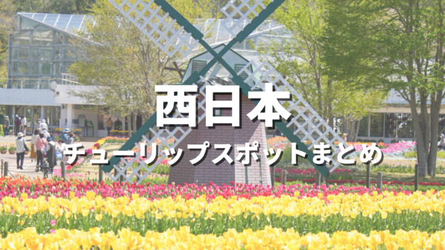 【西日本】チューリップの絶景スポット決定版！おすすめ観光名所と見頃時期・情報まとめ