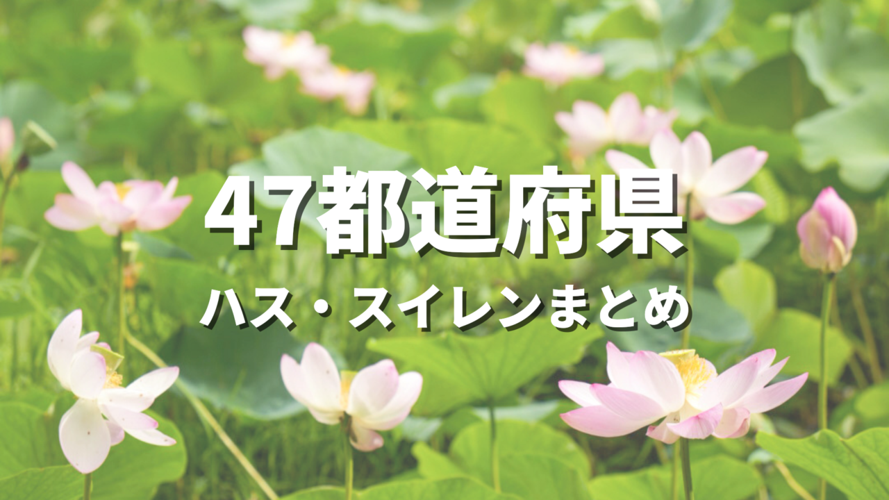 【全国】ハス・スイレンの絶景スポットおすすめ30選！夏の花が映える人気観光名所と開花・見頃時期・お出かけ情報まとめ