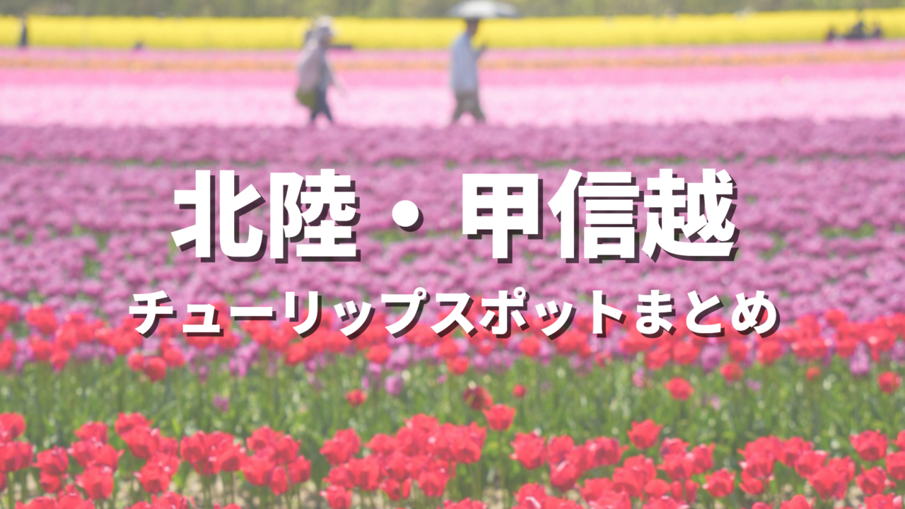 【北陸・甲信越】チューリップの絶景スポット決定版!おすすめ観光名所と見頃時期・情報まとめ