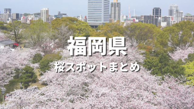 【福岡県】桜の絶景スポット決定版！春に映えるおすすめ人気観光名所と開花・見頃時期・お花見情報まとめ