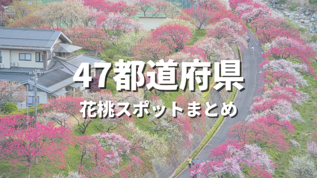 【全国】まるで桃源郷！花桃の絶景スポットおすすめ32選！春に映える人気観光名所と開花・見頃時期・お出かけ情報まとめ