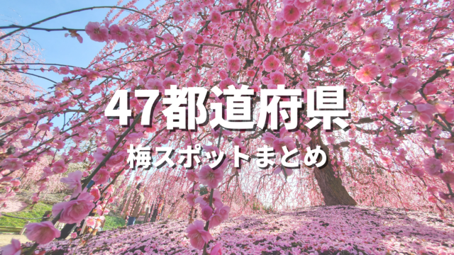 【全国】梅の絶景スポット決定版！早春に映えるおすすめ人気観光名所と開花・見頃時期・お出かけ情報まとめ