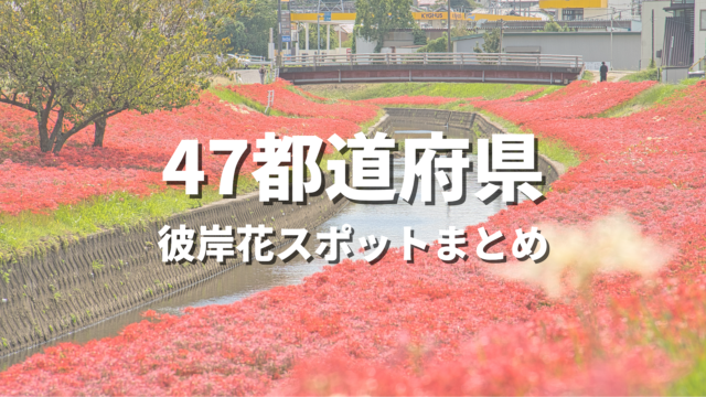 【全国】美しい彼岸花めぐり！日本が誇る秋の絶景・おすすめ観光名所まとめ
