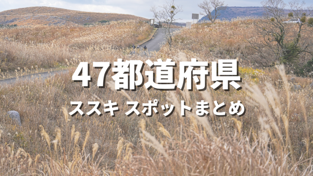 【全国】黄金色に輝くススキの絶景スポットおすすめ32選！映える人気観光名所と見頃時期・お出かけ情報まとめ