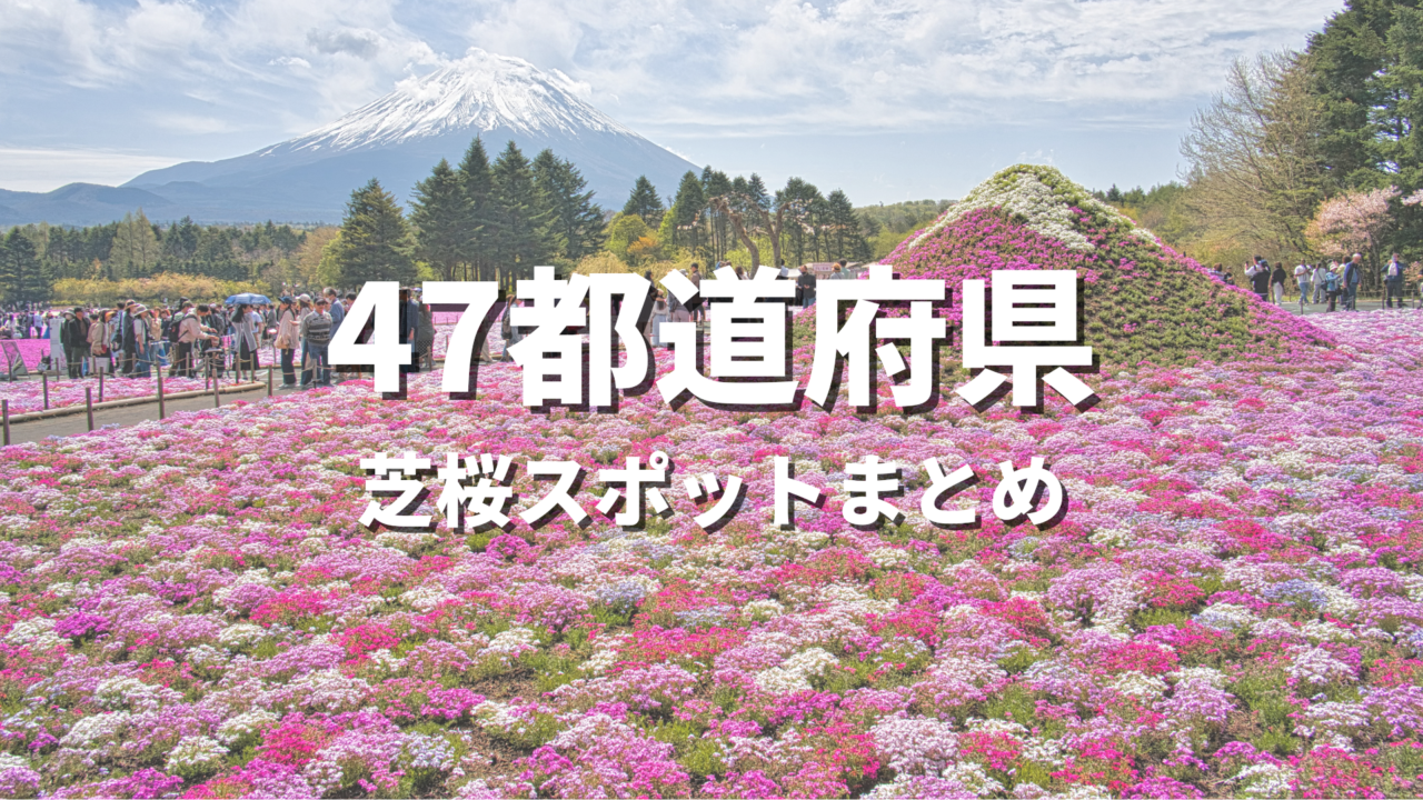 【全国】芝桜の絶景スポット決定版！春に映えるおすすめ人気観光名所と開花・見頃時期・お出かけ情報まとめ