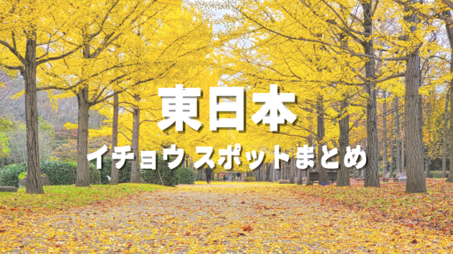 【東日本】銀杏・イチョウ並木の絶景スポット決定版！映えるおすすめ観光名所と見頃時期・情報まとめ