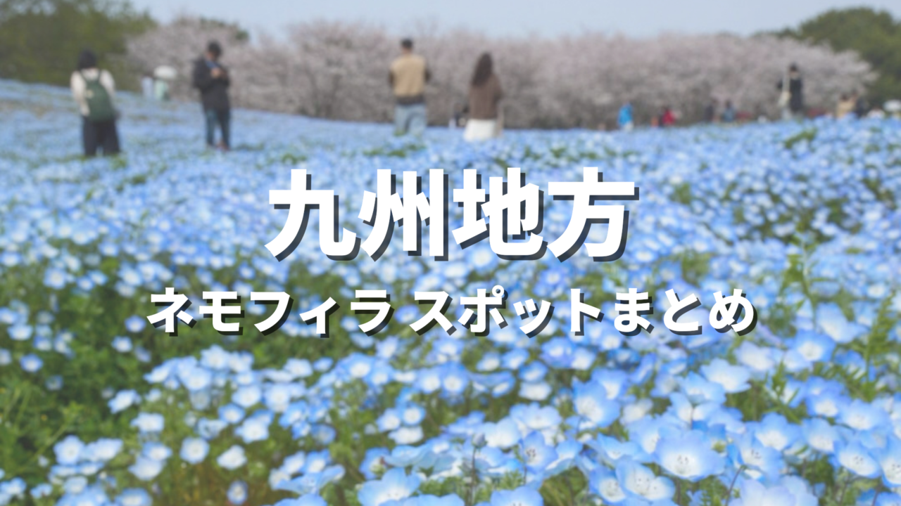 【九州】ネモフィラの絶景スポット決定版！春に映えるおすすめ人気観光名所と開花・見頃時期・お出かけ情報まとめ