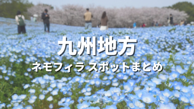 【九州】ネモフィラの絶景スポット決定版！春に映えるおすすめ人気観光名所と開花・見頃時期・お出かけ情報まとめ