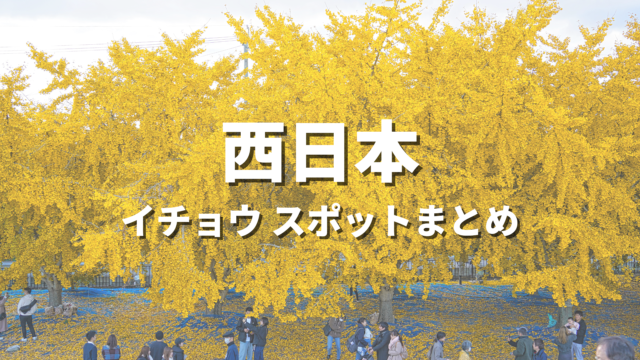 【西日本】銀杏・イチョウ並木の絶景スポット決定版！映えるおすすめ観光名所と見頃時期・情報まとめ