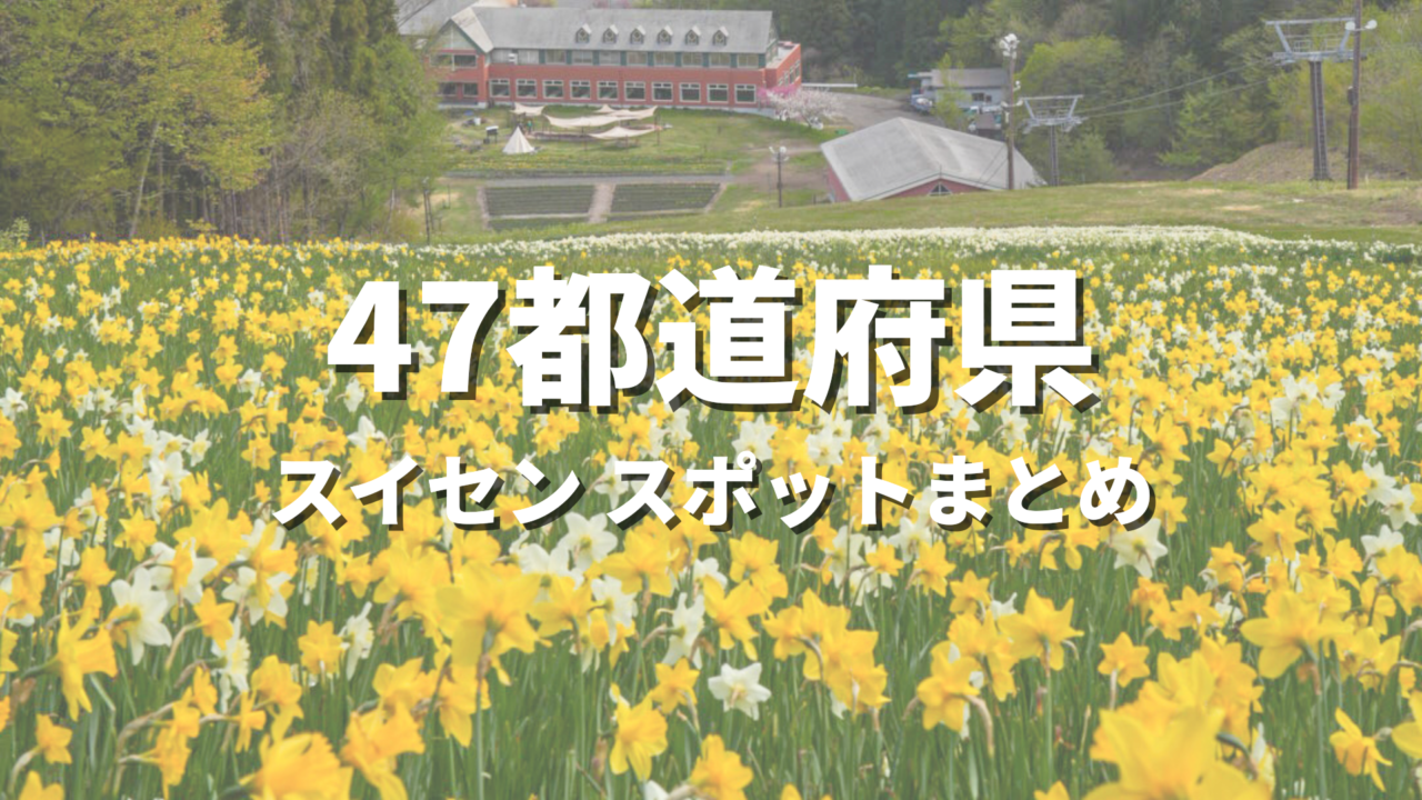 【全国】水仙（スイセン）の絶景スポットおすすめ25選！冬から春に映える人気観光名所と開花・見頃時期・お出かけ情報まとめ