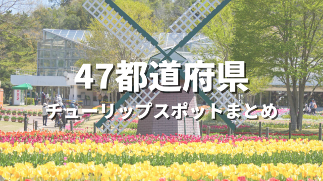 【全国】チューリップの絶景スポットおすすめランキング30選！映える人気観光名所と見頃時期・お出かけ情報まとめ