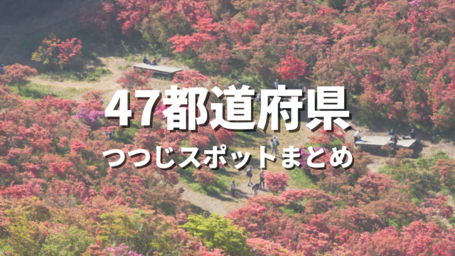 【全国】つつじの絶景スポットおすすめランキング30選！映える人気観光名所と見頃時期・お出かけ情報まとめ